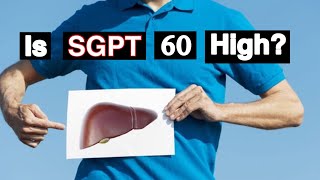 What is Normal Range of SGPT Test  SGPT Test result [upl. by Yenettirb]