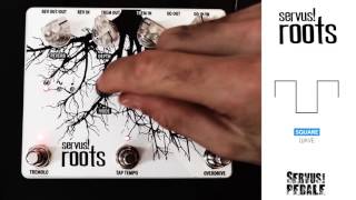 ServusPedale Roots Overdrive Tremolo amp Reverb  Demo [upl. by Anitselec]