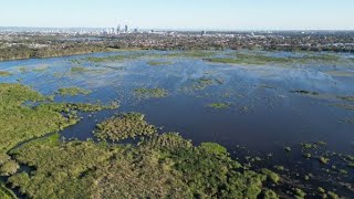 Herdsman Lake Perth WA [upl. by Boyd578]