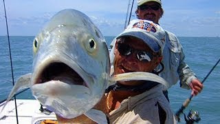 Monster Jack Crevalle Topwater Blowups off Port Canaveral Florida [upl. by Artemisia399]