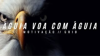 ÁGUIA VOA COM ÁGUIA  Vídeo MOTIVACIONAL  MOTIVAÇÃO [upl. by Coulson]