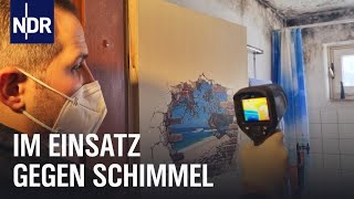 Schimmel im Haus Gefahr in den eigenen vier Wänden  Die Nordreportage  NDR Doku [upl. by Auoz897]