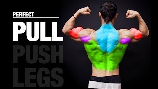 The PERFECT Pull Workout PUSH  PULL  LEGS [upl. by Assirolc]