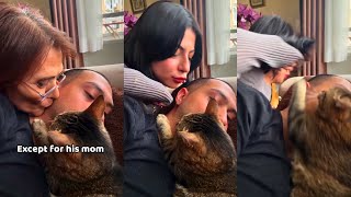 Cats are overprotective of their favourite human 🥰 Funny amp Cute Animals 🥹 [upl. by Jeddy]