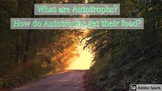 What are Autotrophs How do Autotrophs get their food 10 th biology 1st lesson Nutrition page 1 [upl. by Nauqit]