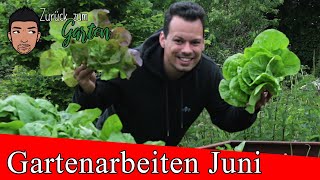 Die wichtigsten Gemüsegartenarbeiten im Juni Schnecken Aussaaten Unkraut Mulchen uvm [upl. by Ardaid]