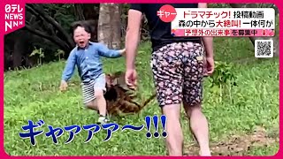 【投稿動画】キャンプ場でまさかの遭遇…『every特集』 [upl. by Melany]