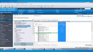 Chemotherapy Ordering and Scheduling Demo [upl. by Darell886]