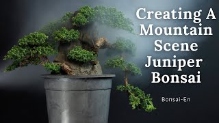 Juniper Bonsai Rock Planting [upl. by Posehn927]