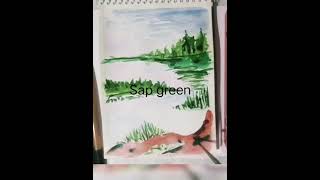 Nature watercolor paint easy beginners drawing painting [upl. by Mcmath708]