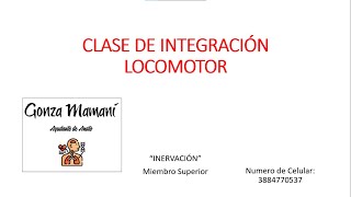 INERVACIÓN DE MIEMBRO SUPERIOR 2da Clase [upl. by Ramedlab]