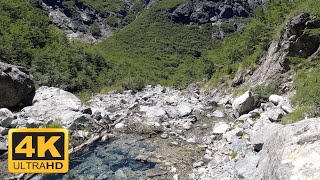 4K Virtual Hike in Patagonia Bariloche with Original Nature Sounds  Arroyo Goye [upl. by Haissem]