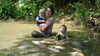 How to harvest giant fish ponds to sell at the market  cook with your children [upl. by Glenden]