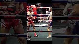 Muay Thai Fight [upl. by Resee]