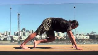 Yoga for Triathletes Level 1 Hip Openers [upl. by Cormack840]