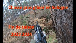 Chasse gros gibiers en Sologne  Chasse sanglier  Fin de saison 20222023 [upl. by Laeno986]