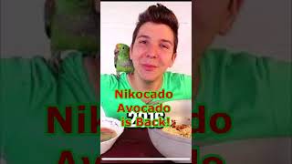 Nikocado Avocado is Back nikocadoavacado mukbang shorts [upl. by Suhsoj]