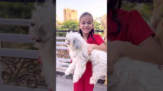 amaira k liye aya dog shorts thegeetagurjar [upl. by Eulalie]