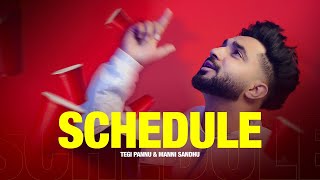 SCHEDULE OFFICIAL VIDEO  TEGI PANNU  MANNI SANDHU  NEW PUNJABI SONG 2024 [upl. by Mirabel]