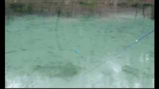 Action Demo 8  Realis Jerkbait 100SP [upl. by Yrogreg]