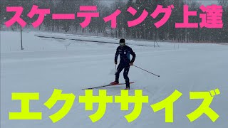 【初心者必見】クロスカントリースキーのスケーティングエクササイズ動画。これでスキーに乗りやすくなる！クロスカントリースキー初心者向け。 [upl. by Wilmott838]