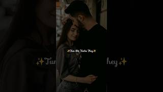 ✨Hum Bhi Tanha they😥💕Song Statusviralyoutubeshortsstatuslikeshortssong [upl. by Naahs141]