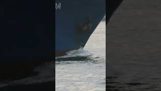 🎥 🐬 General cargo ship DIDA in Istanbul strait ⚓ 🔉 [upl. by Eneleahcim]