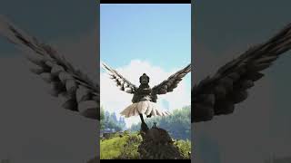 Comment reconnaitre facilement un Argentavis sur ARK ark [upl. by Baron]