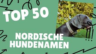 Nordische Hundenamen  Top 50 Liste [upl. by Jori]