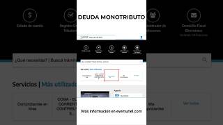 MONOTRIBUTO ¿Cómo saber si tengo DEUDA  Curso online 👀 [upl. by Aohsoj]