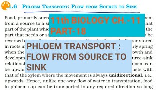 Class 11 BiologyCh11 Part18Phloem transportStudy with Farru [upl. by Pate]