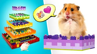 LIVE How To Make Coolest Hamster Maze  FUN DIY🐹🐀 [upl. by Defant]