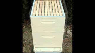 How to Set Up a Beehive for Beginner Beekeepers [upl. by Vokay]