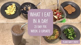 What I Eat in a Day  Healthy  21 Day Fix [upl. by Ertnod]