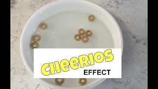 The Cheerios Effect [upl. by Nasas]