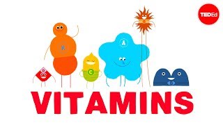 How do vitamins work  Ginnie Trinh Nguyen [upl. by Earle]