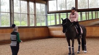 Dressage Horse Training  Canter [upl. by Knarf547]