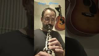 Adagio  Albinoni  clarinet version [upl. by Freddy]