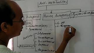 Antimetabolites antifolate purine and pyrimidine antagonists [upl. by Schnur420]