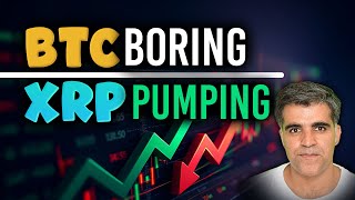 Crypto Market Latest News Updates Why BTC boring XRP pumping [upl. by Sherie]