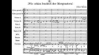 Johann Kuhnau  Cantata Wie schön leuchtet der Morgenstern w score [upl. by Ahsekyt]