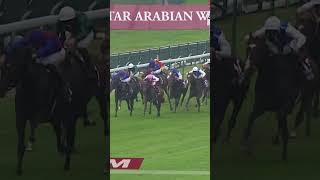 Bluestocking Wins The Prix de lArc de Triomphe QPAT [upl. by Clementis]