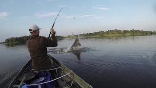 FISHING FOR HUGE ARAPAIMA IN THE WILD AMAZON [upl. by Efinnej]