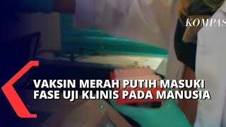 Vaksin Merah Puith Akan Uji Klinis Pada Manusia Awal Desember Mendatang Berikut Selengkapnya [upl. by Razatlab]