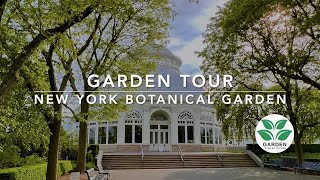 Captivating Elegance The New York Botanical Garden’s Natural Wonders [upl. by Wearing143]