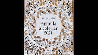 Agenda 2024  Johanna Basford [upl. by Narbig537]