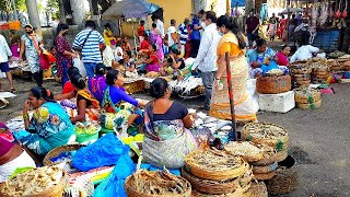 Vasai Papdi Market  Vasai Papdi Fish Market  Vasai Machi Market [upl. by Bonucci]