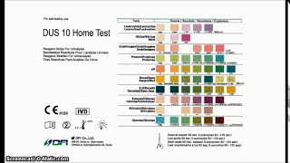 Test for Liver Health with a Urinalysis Test Strip [upl. by Kaslik]