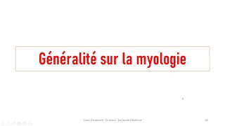 Généralité sur la myologie [upl. by Anauqahs]