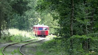 Veteranbanen BryrupVrads  Juletræstog 2016 [upl. by Elladine]